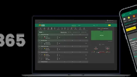 港珠澳大桥日客流量刷新历史最高纪录