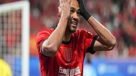 达尔文悖论深度评测